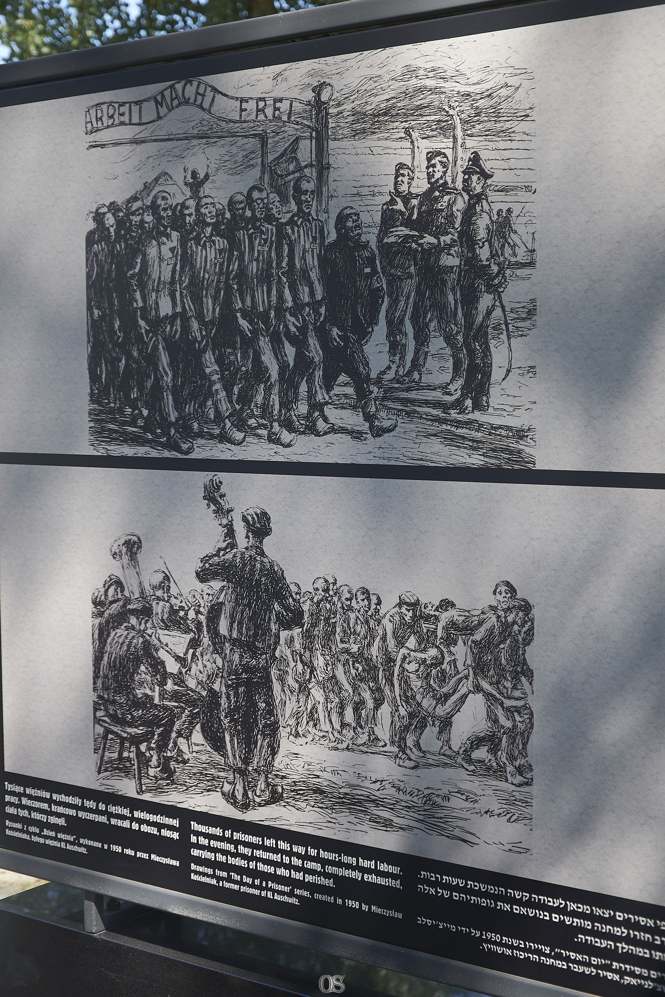 Auschwitz 3.jpg